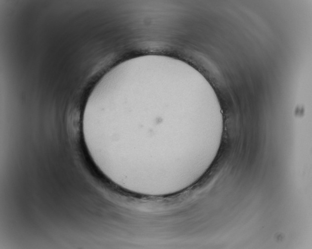 X0000102280024200808221315