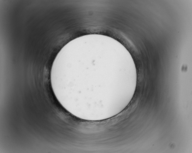X0000102280025200808221315