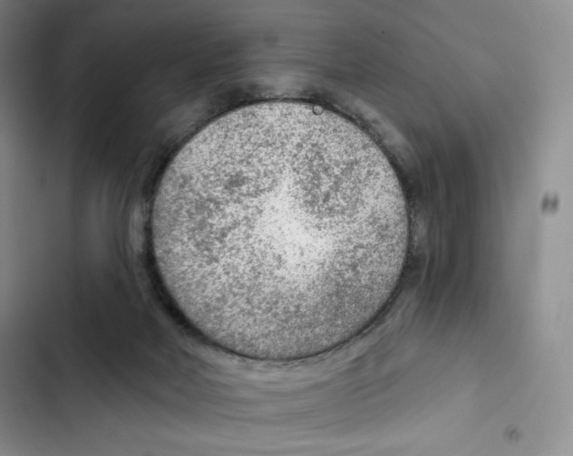 X0000102280026200808221315