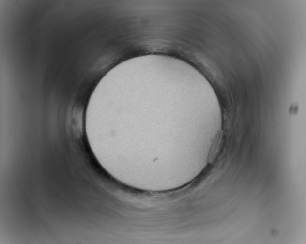 X0000102280028200808221315