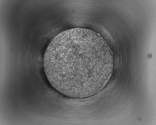 X0000102280029200808221315