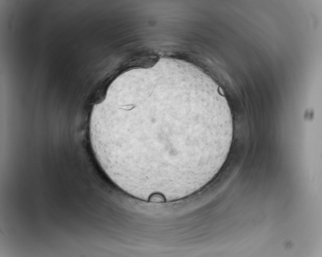 X0000102280030200808221315