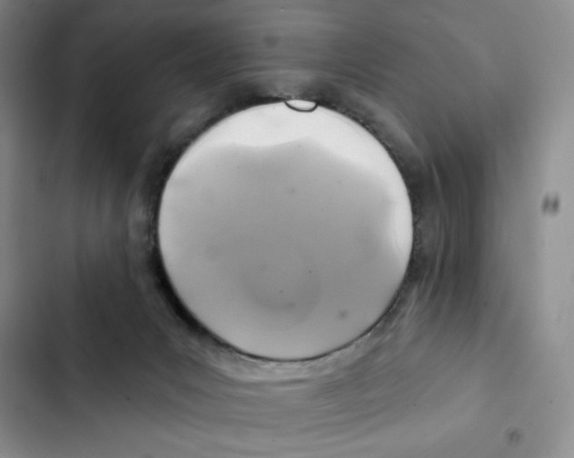 X0000102280031200808221315
