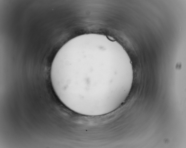 X0000102280033200808221315