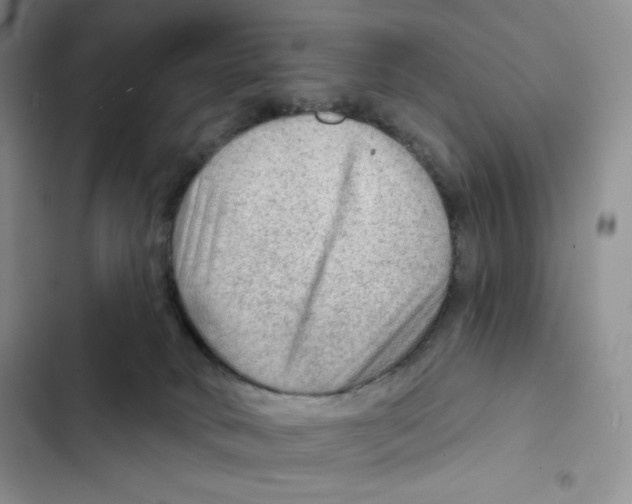 X0000102280034200808221315
