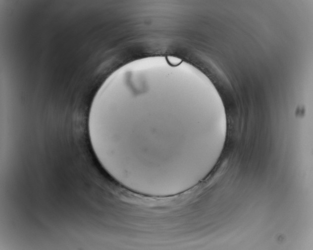 X0000102280035200808221315