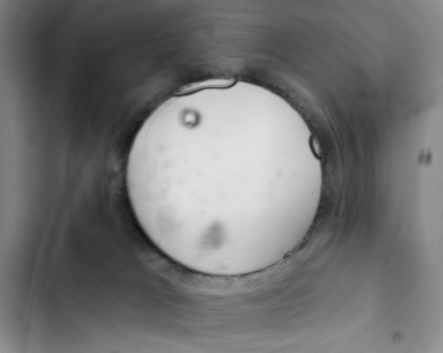 X0000102280037200808221315