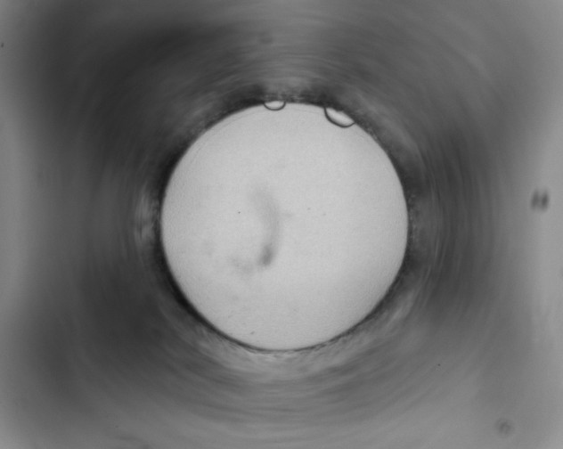 X0000102280038200808221315