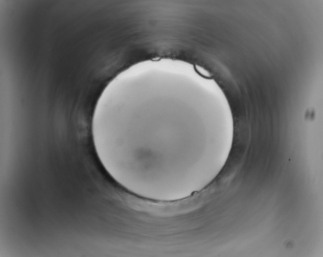 X0000102280039200808221315