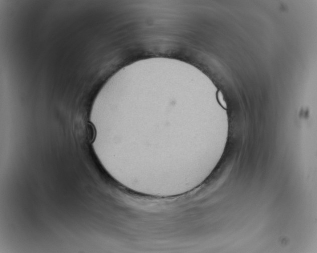 X0000102280040200808221315