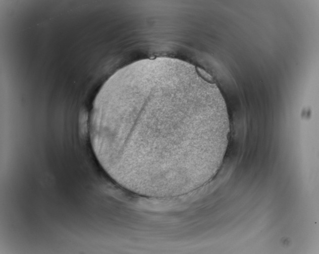 X0000102280041200808221315
