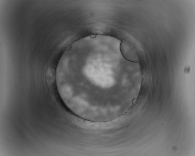 X0000102280043200808221315