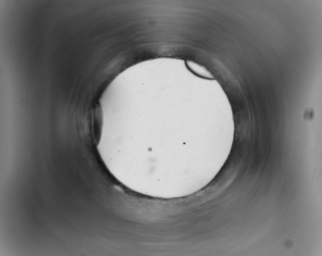 X0000102280044200808221315