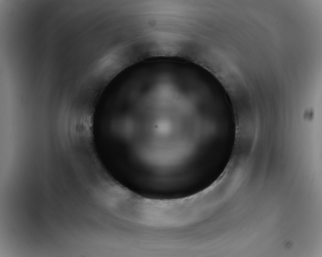 X0000102280045200808221315