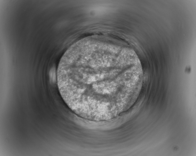 X0000102280046200808221315