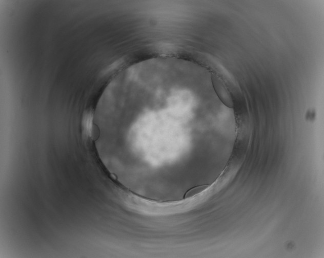 X0000102280047200808221315