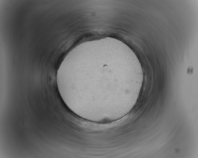 X0000102280048200808221315