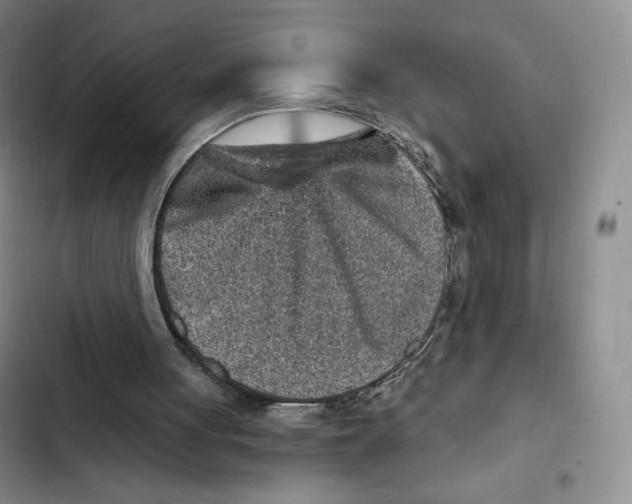 X0000102280051200808221314