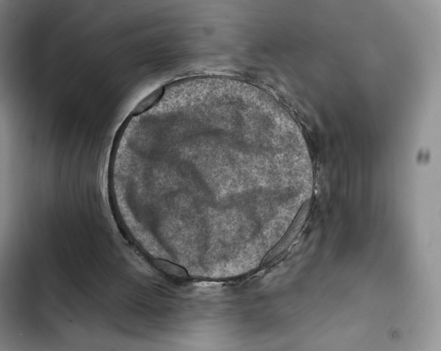X0000102280052200808221314