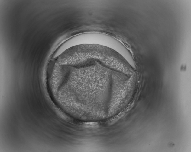 X0000102280053200808221314