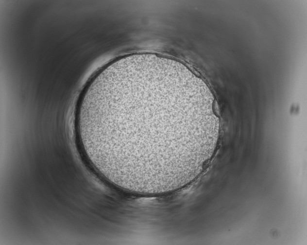 X0000102280054200808221314