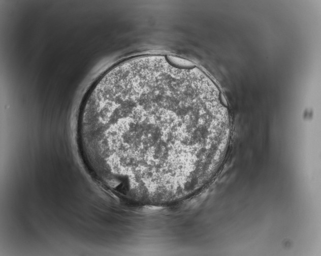 X0000102280055200808221314