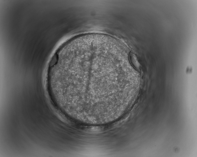 X0000102280056200808221314