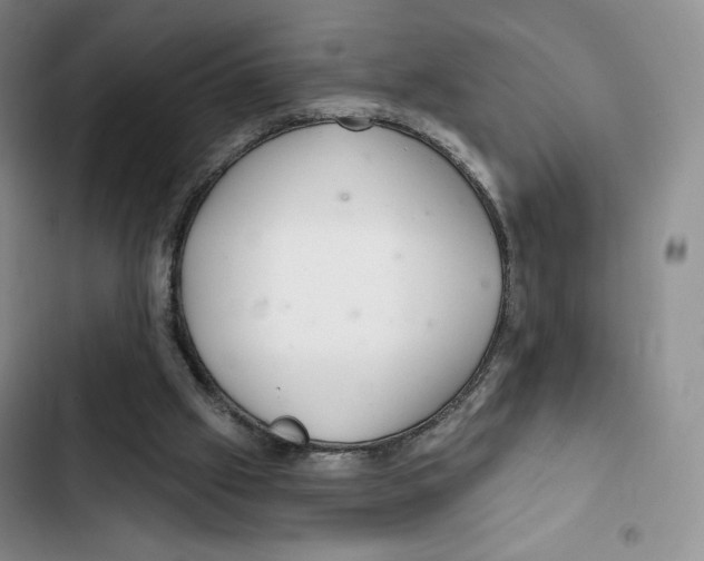 X0000102280057200808221314