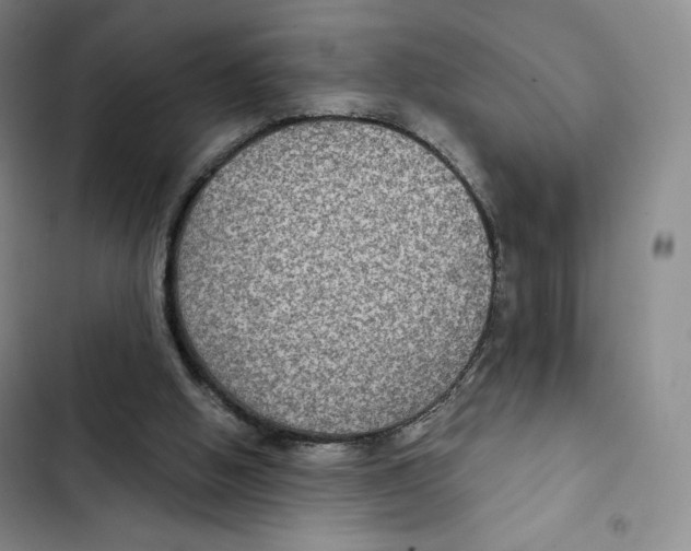 X0000102280058200808221314