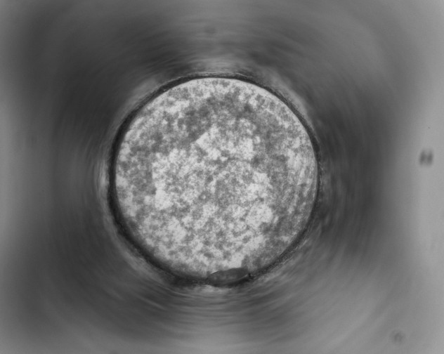 X0000102280059200808221314