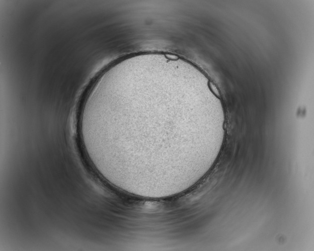 X0000102280060200808221314