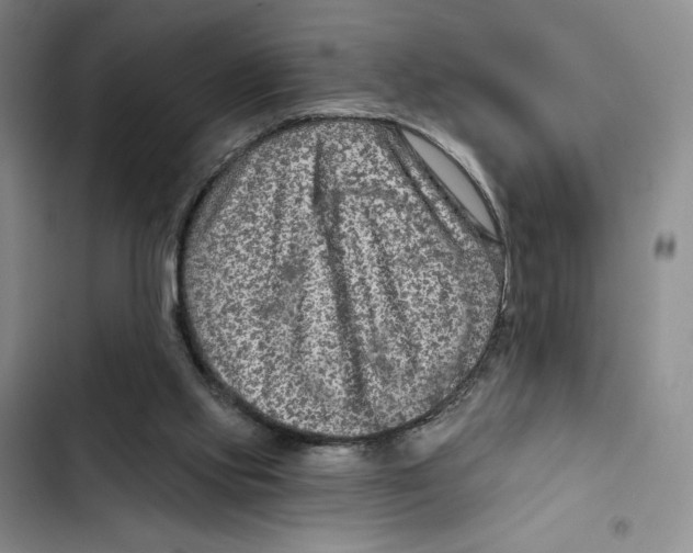 X0000102280061200808221314
