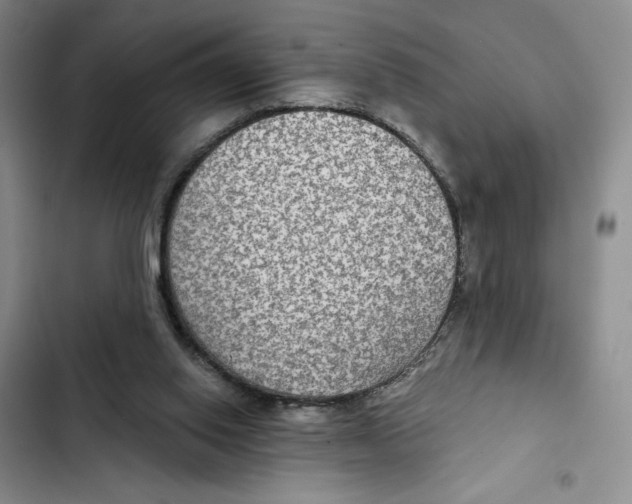 X0000102280062200808221314