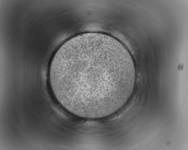 X0000102280063200808221314