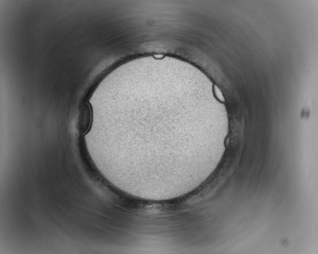 X0000102280064200808221314