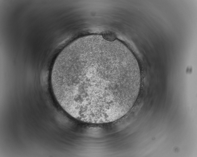 X0000102280066200808221314