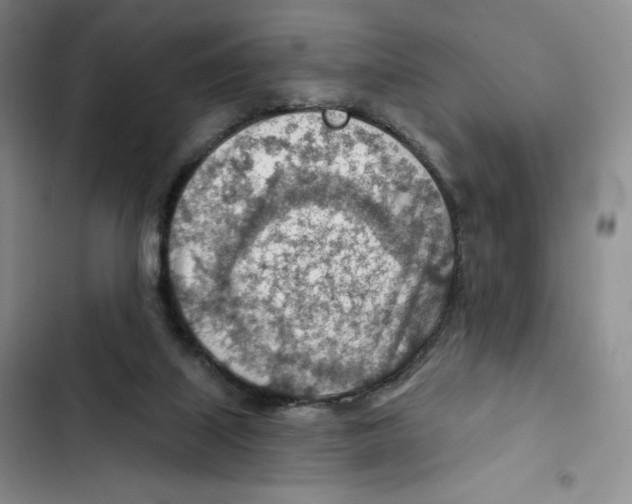 X0000102280067200808221314