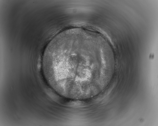 X0000102280069200808221314
