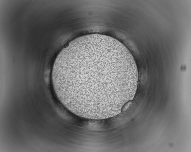 X0000102280070200808221314
