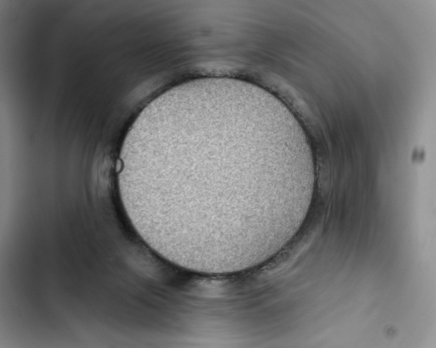 X0000102280071200808221314