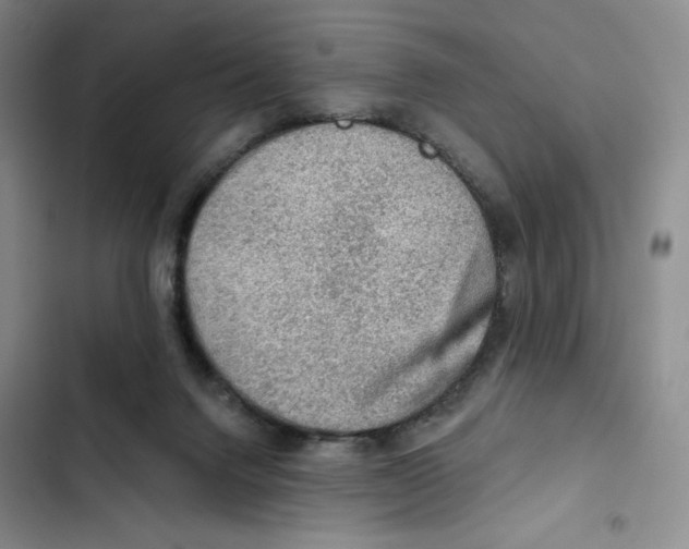 X0000102280072200808221314