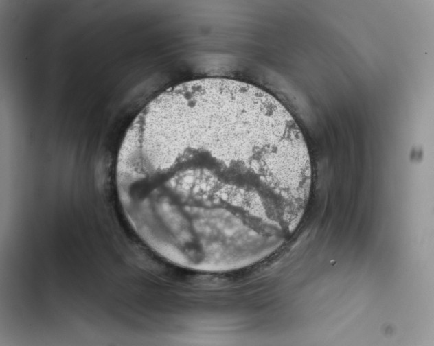 X0000102280073200808221314