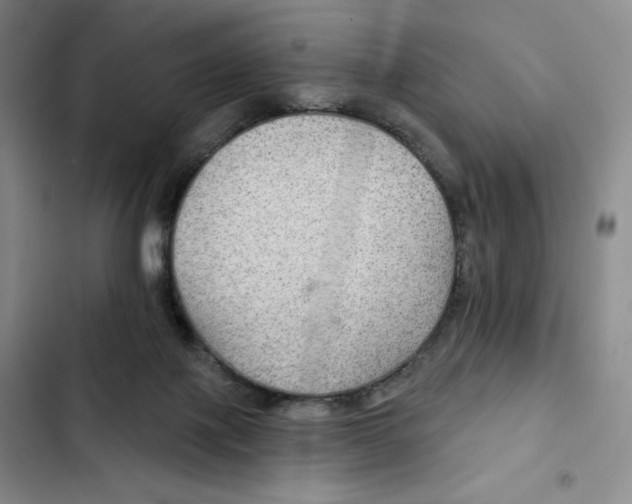 X0000102280075200808221314