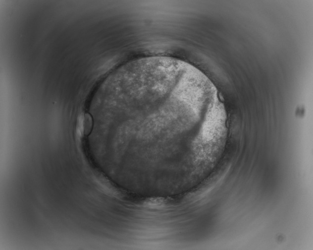 X0000102280076200808221314