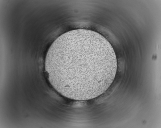 X0000102280077200808221314