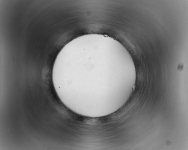 X0000102280079200808221314