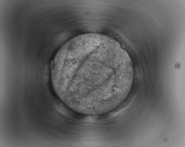 X0000102280080200808221314