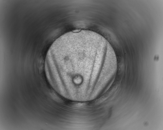 X0000102280081200808221314