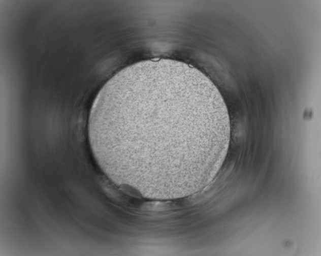 X0000102280082200808221315