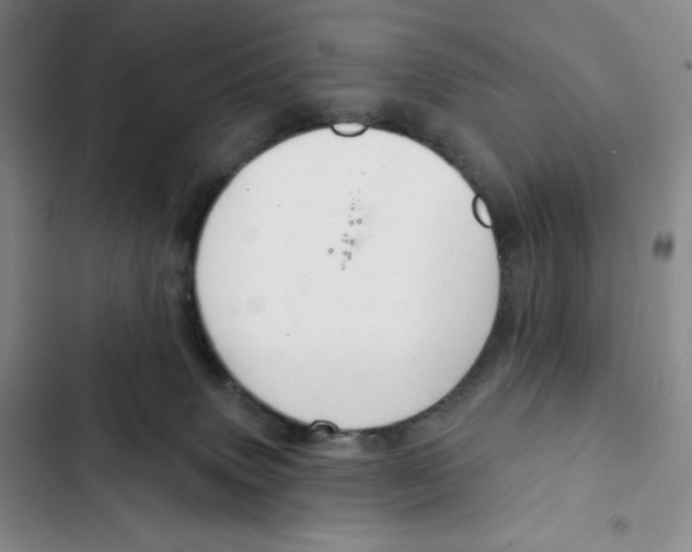 X0000102280083200808221315